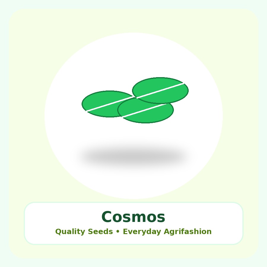 Cosmos Seeds 50 Seeds