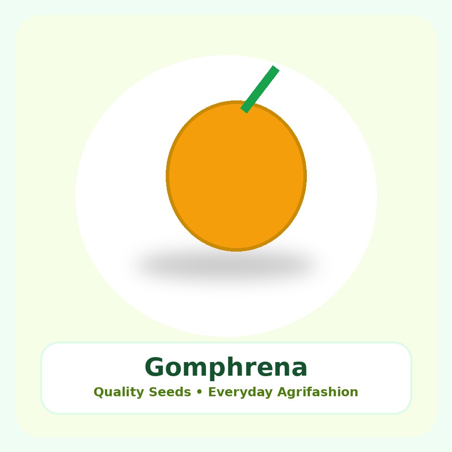 Gomphrena Seeds 100 Seeds