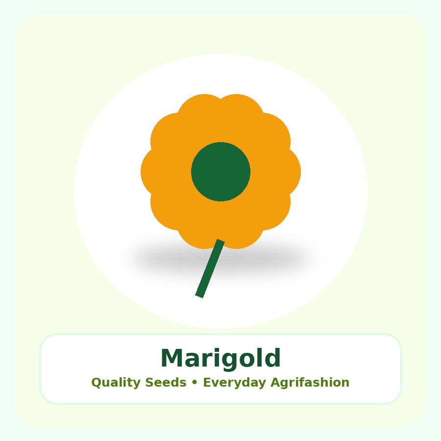 Marigold Seeds 25 Seeds