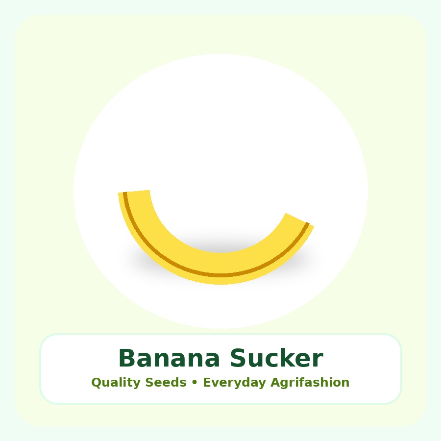 Banana Sucker Seeds 100 Seeds