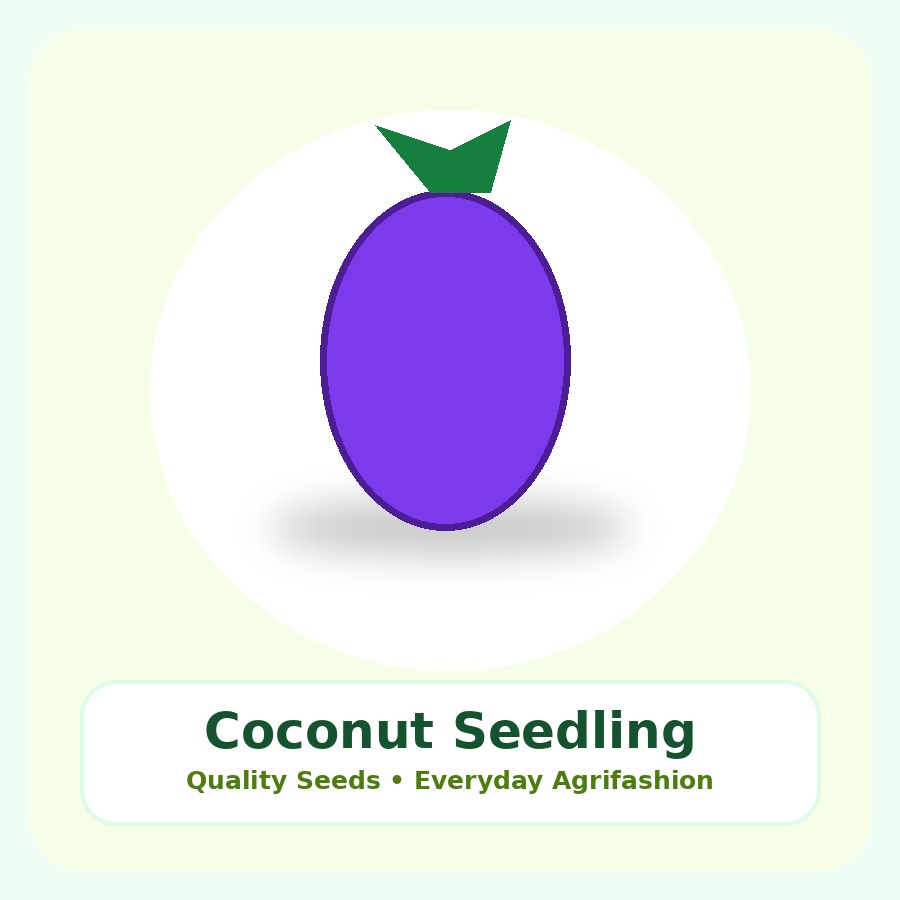 Coconut Seedling Seeds 25 Seeds