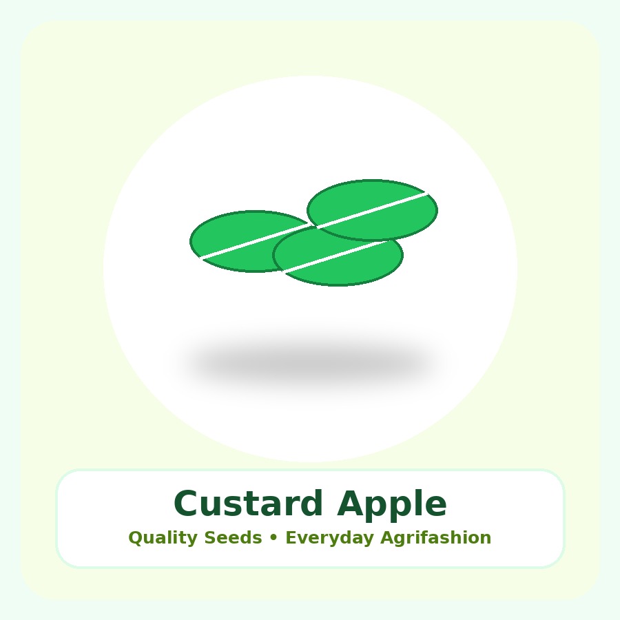 Custard Apple Seeds 250 Seeds