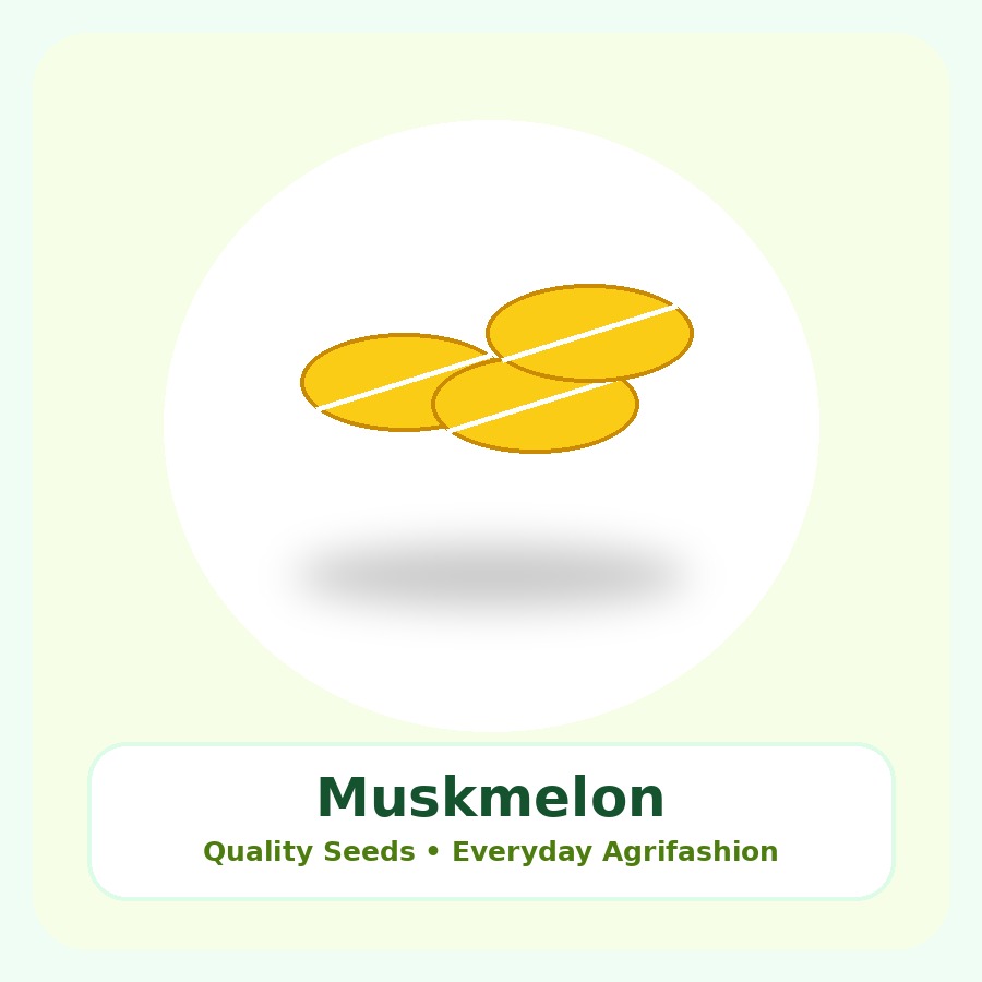 Muskmelon Seeds 100 Seeds