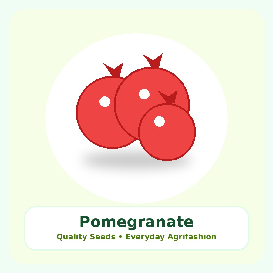Pomegranate Seeds 250 Seeds