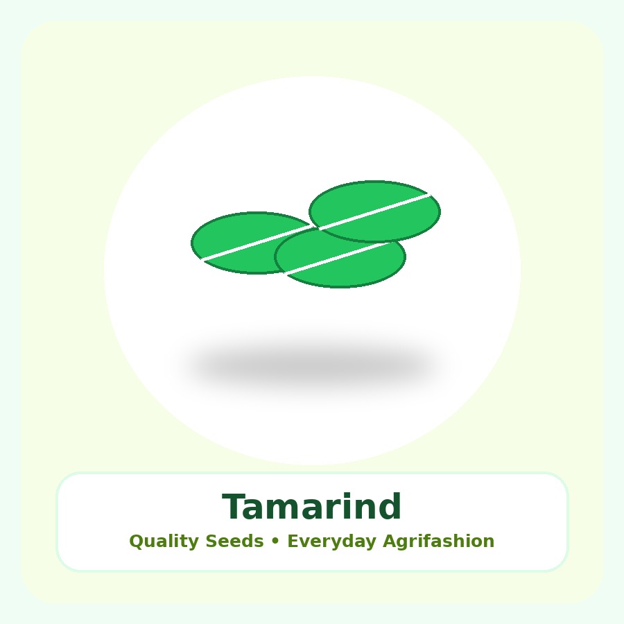 Tamarind Seeds 250 Seeds
