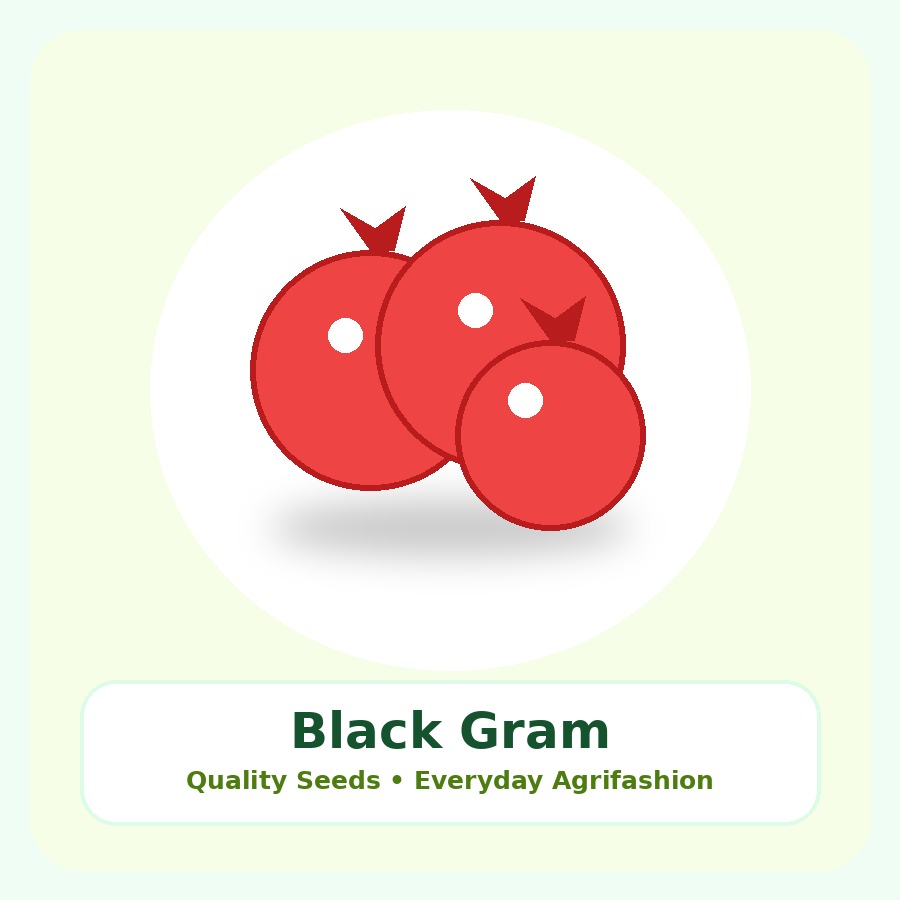 Black Gram Seeds 1kg