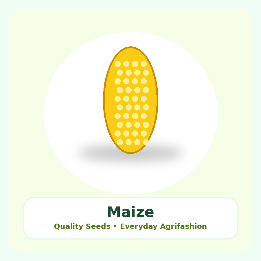 Maize Seeds 25kg