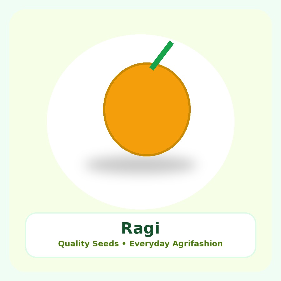 Ragi Seeds 5kg