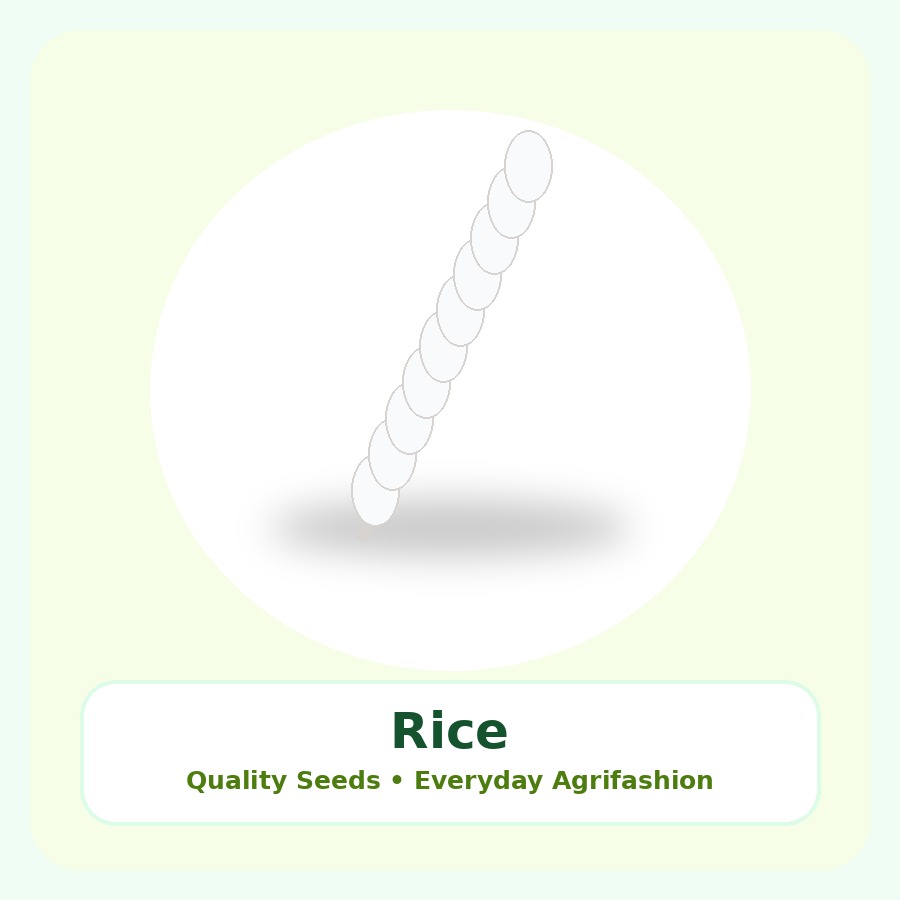 Rice Seeds 10kg