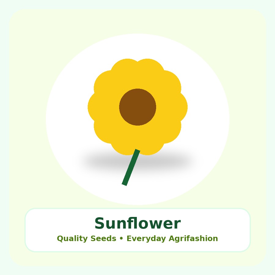 Sunflower Seeds 5kg