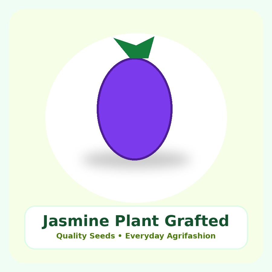 Jasmine Plant Grafted Plant
