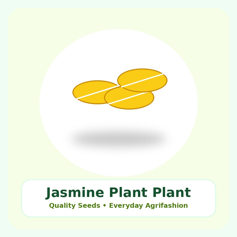 Jasmine Plant Premium Plant