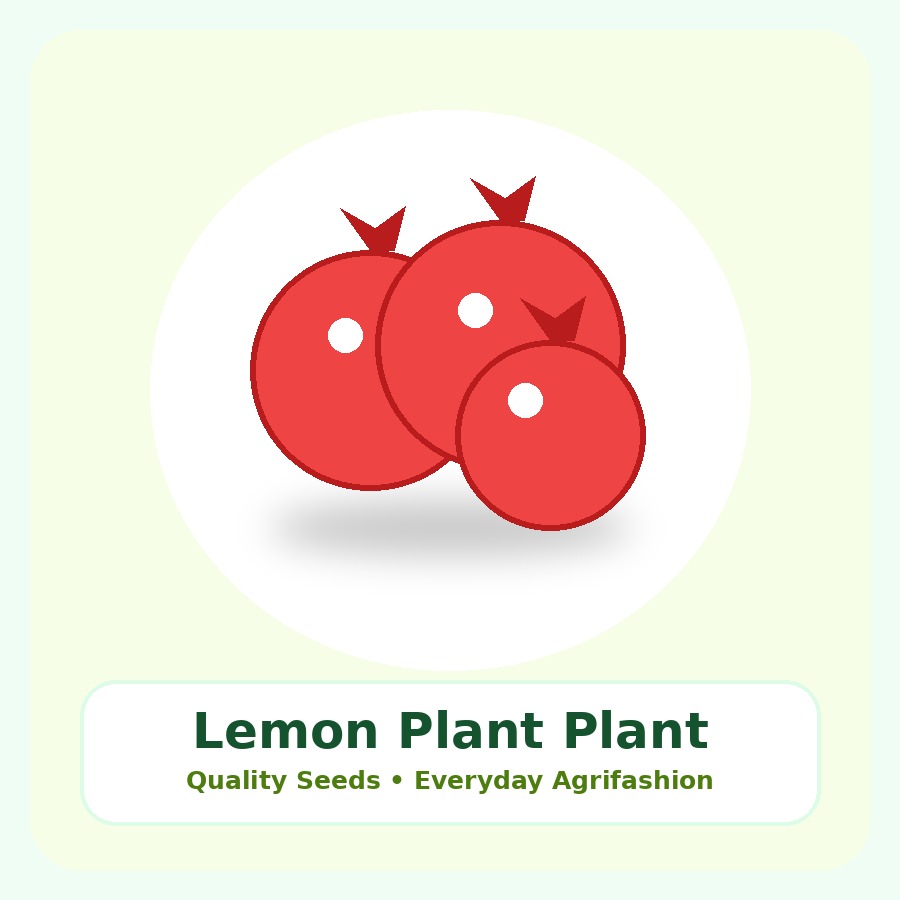 Lemon Plant Premium Plant
