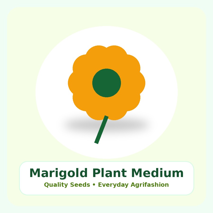 Marigold Plant Medium Plant
