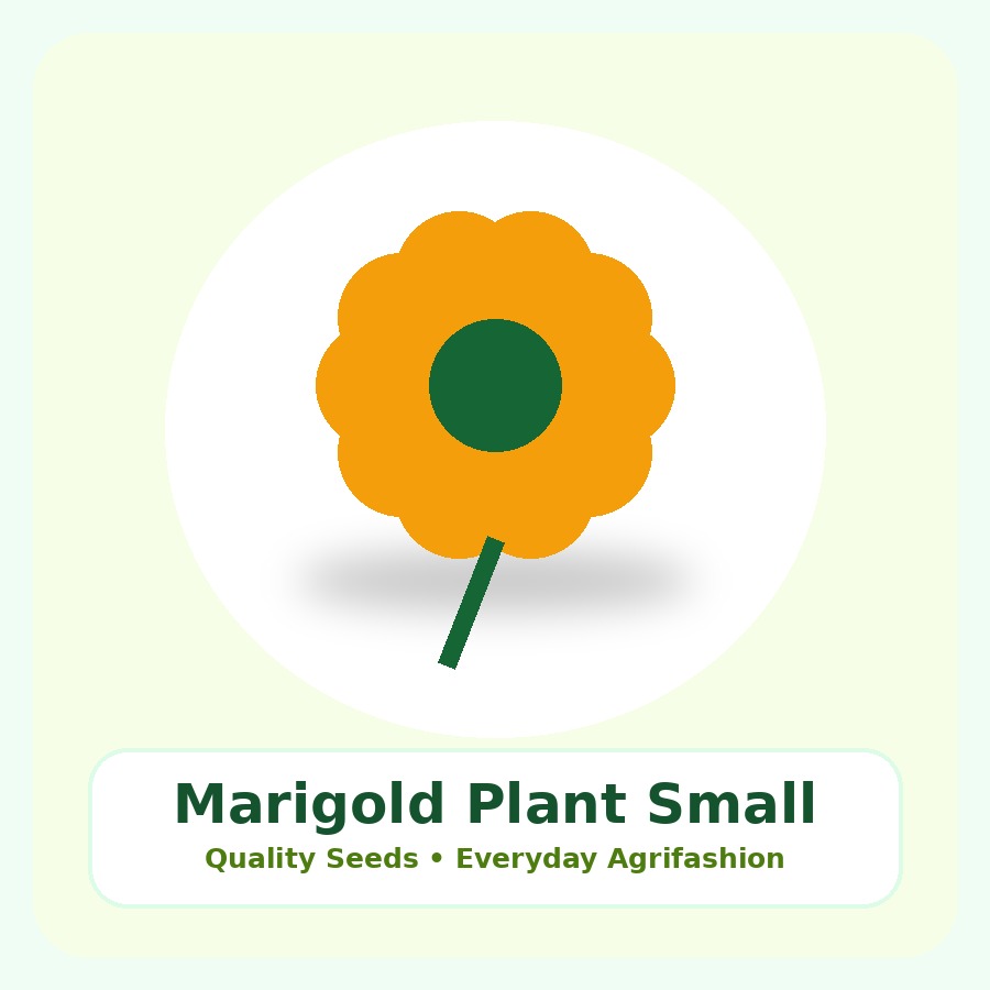 Marigold Plant Small Nursery Bag