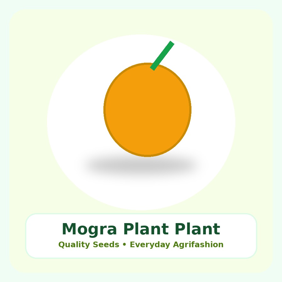 Mogra Plant Premium Plant