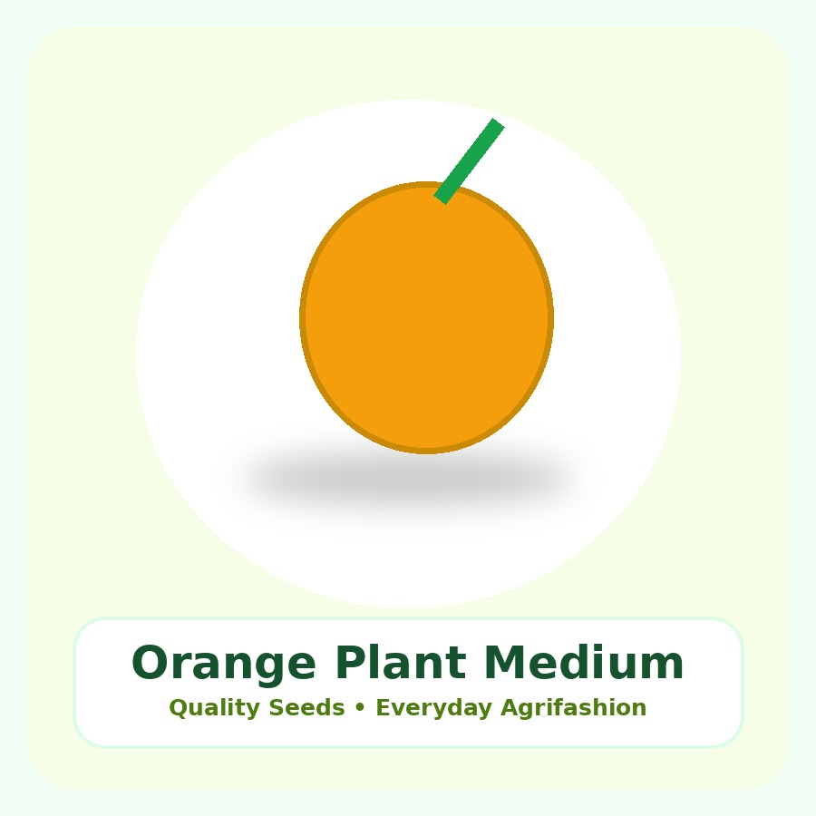 Orange Plant Medium Plant