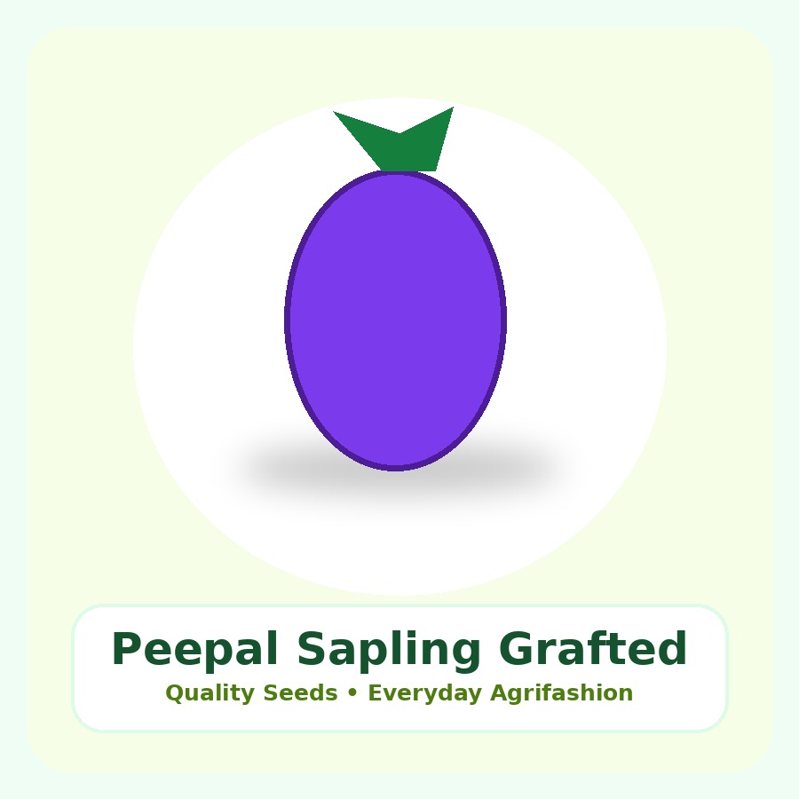 Peepal Sapling Grafted Plant