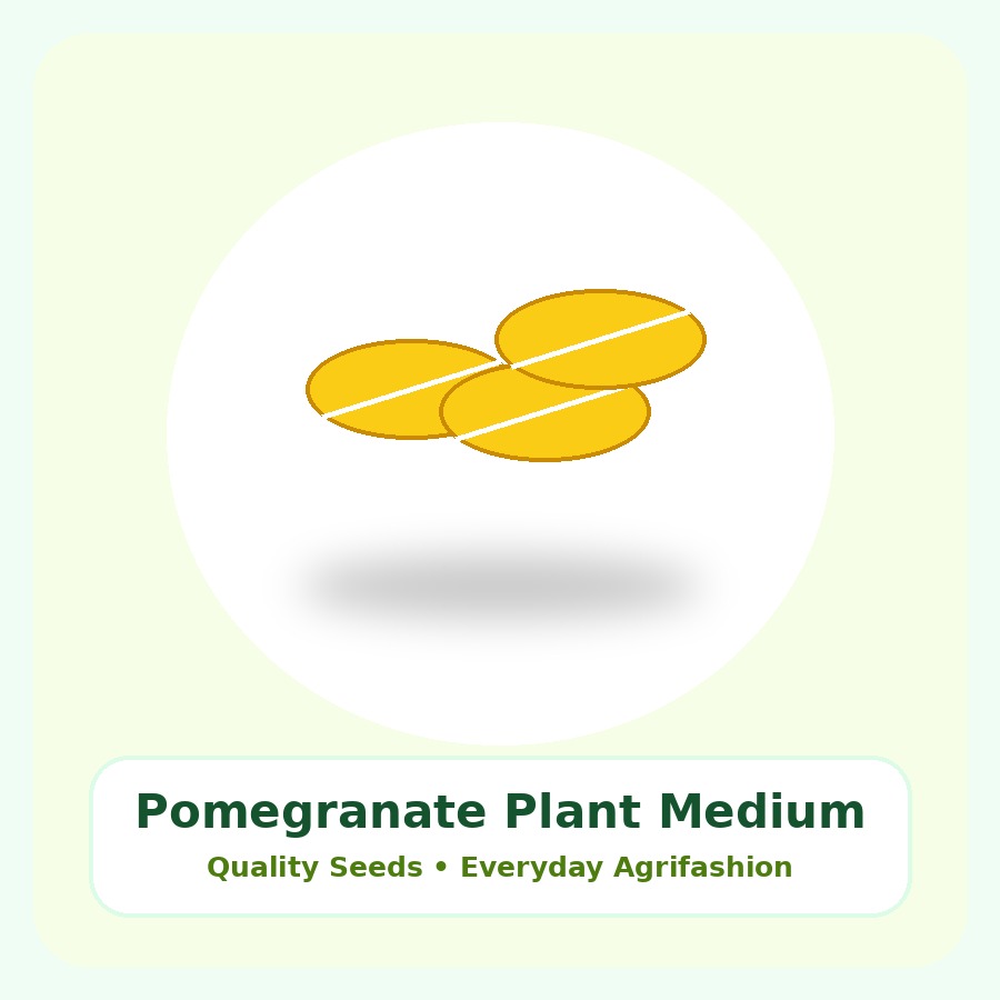 Pomegranate Plant Medium Plant