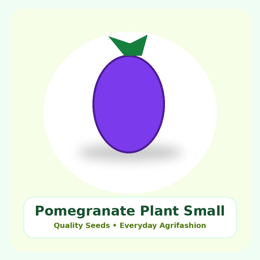 Pomegranate Plant Small Nursery Bag