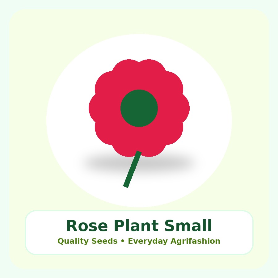Rose Plant Small Nursery Bag