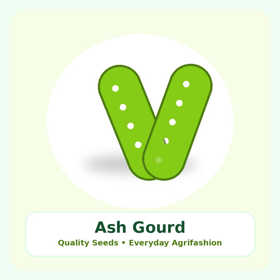 Ash Gourd Seeds 250g