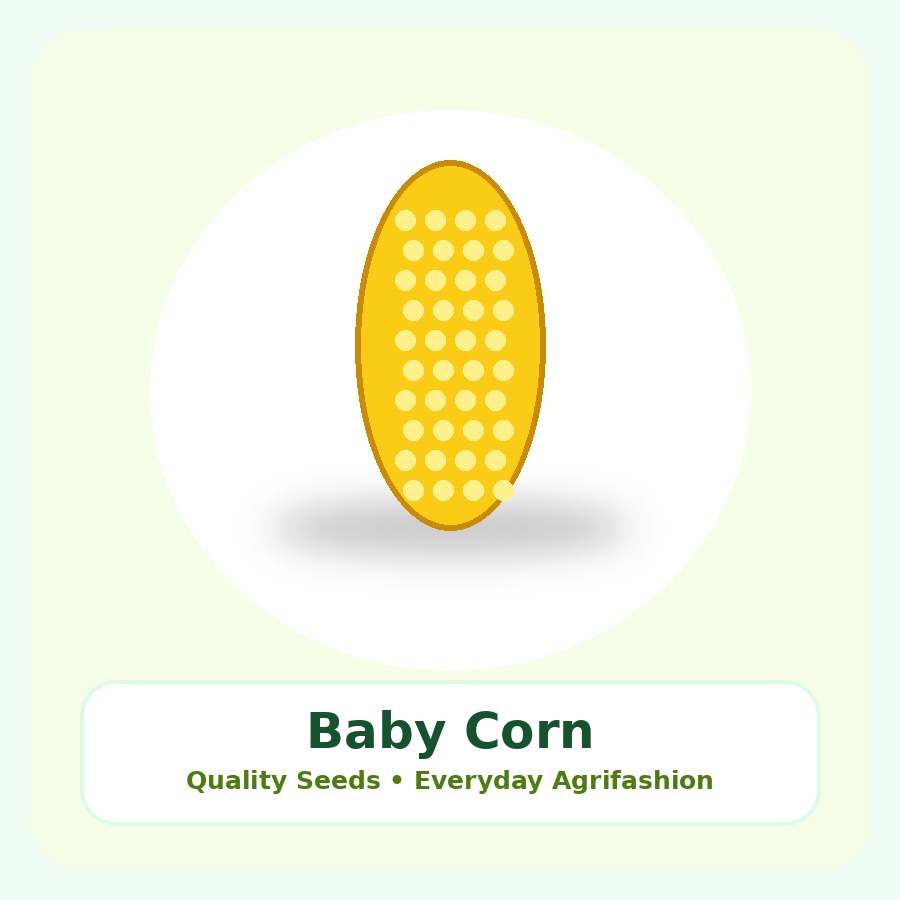 Baby Corn Seeds 1kg