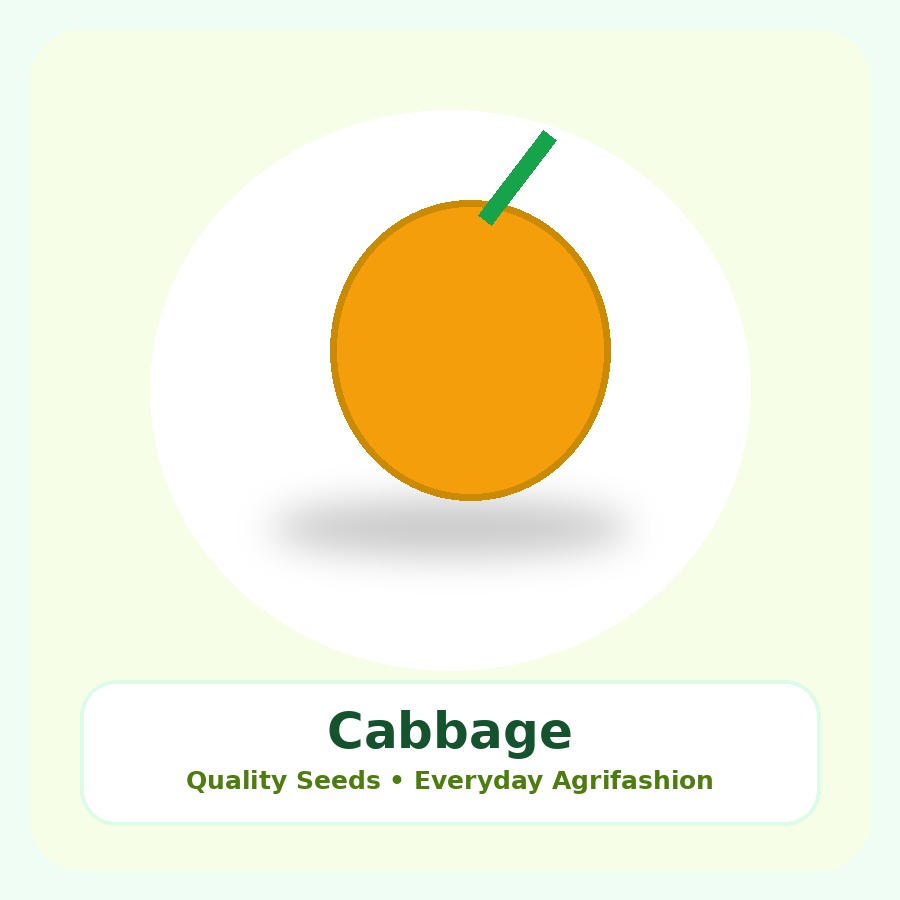 Cabbage Seeds 50g