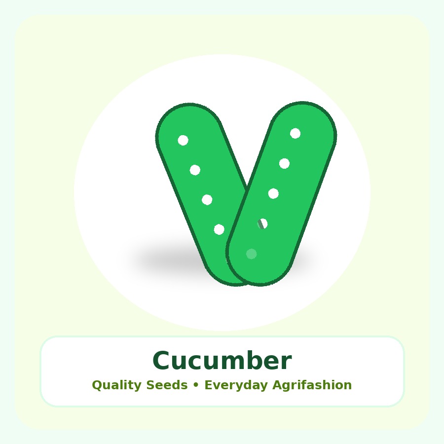 Cucumber Seeds 50g