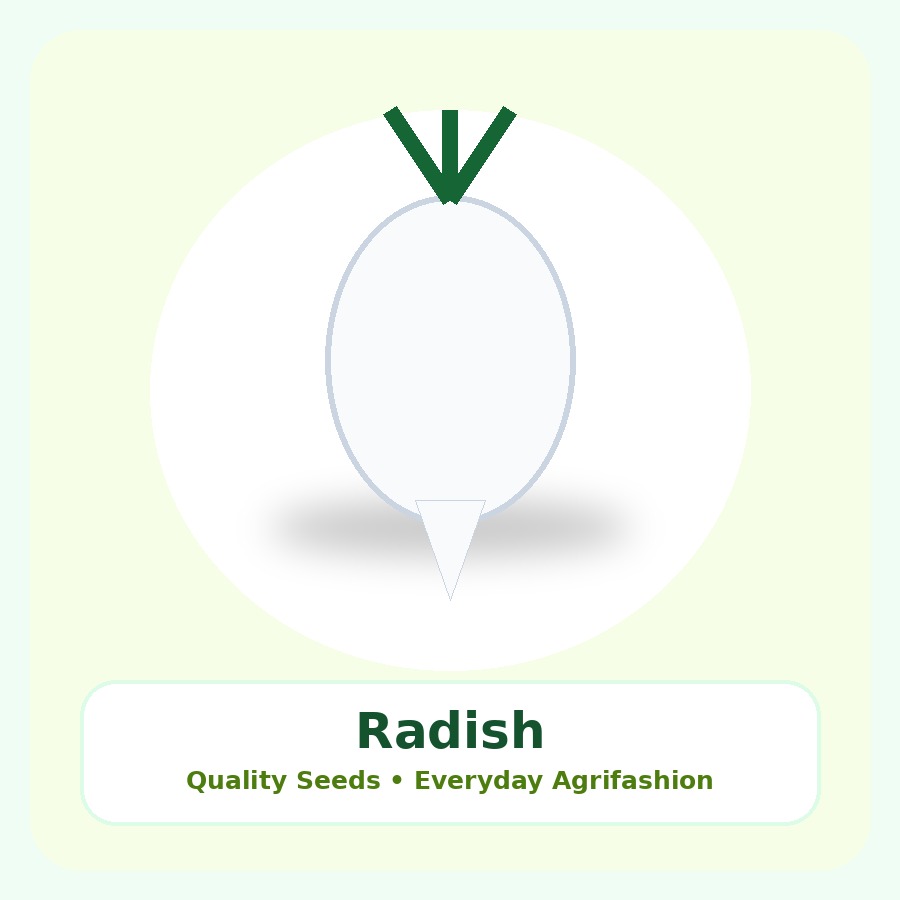 Radish Seeds 50g