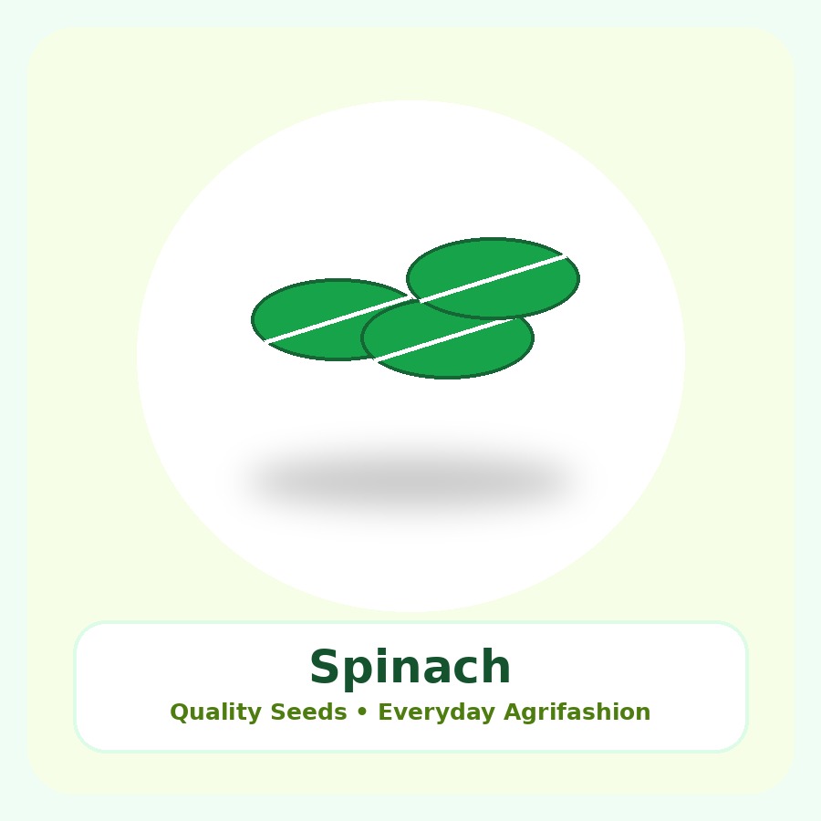 Spinach Seeds 25g